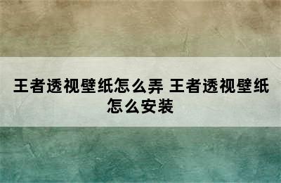 王者透视壁纸怎么弄 王者透视壁纸怎么安装